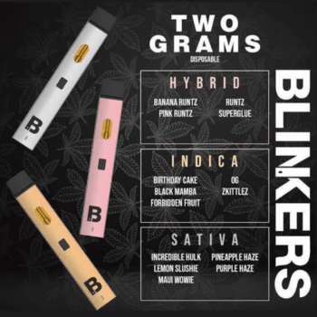 Blinkers – Two Grams Disposable Vape (2G)